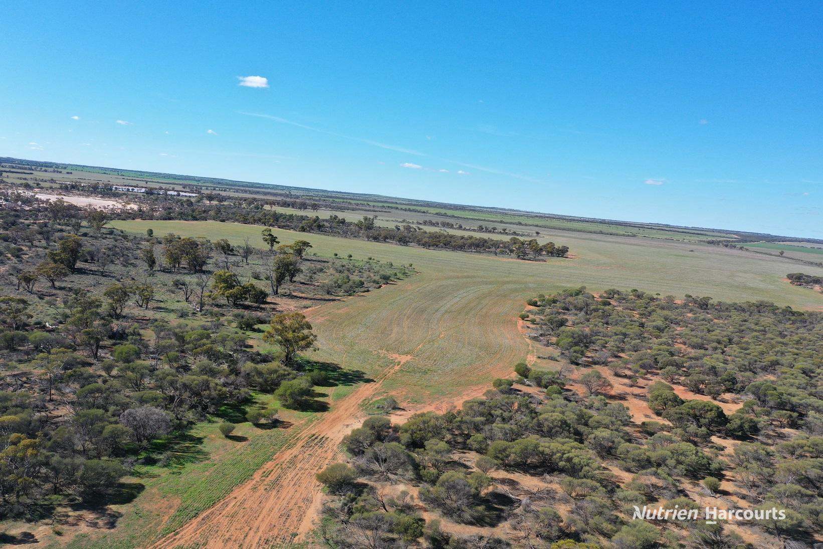 331 Red Dam Road, Cleary For Sale by Farmbuy.com - image 6