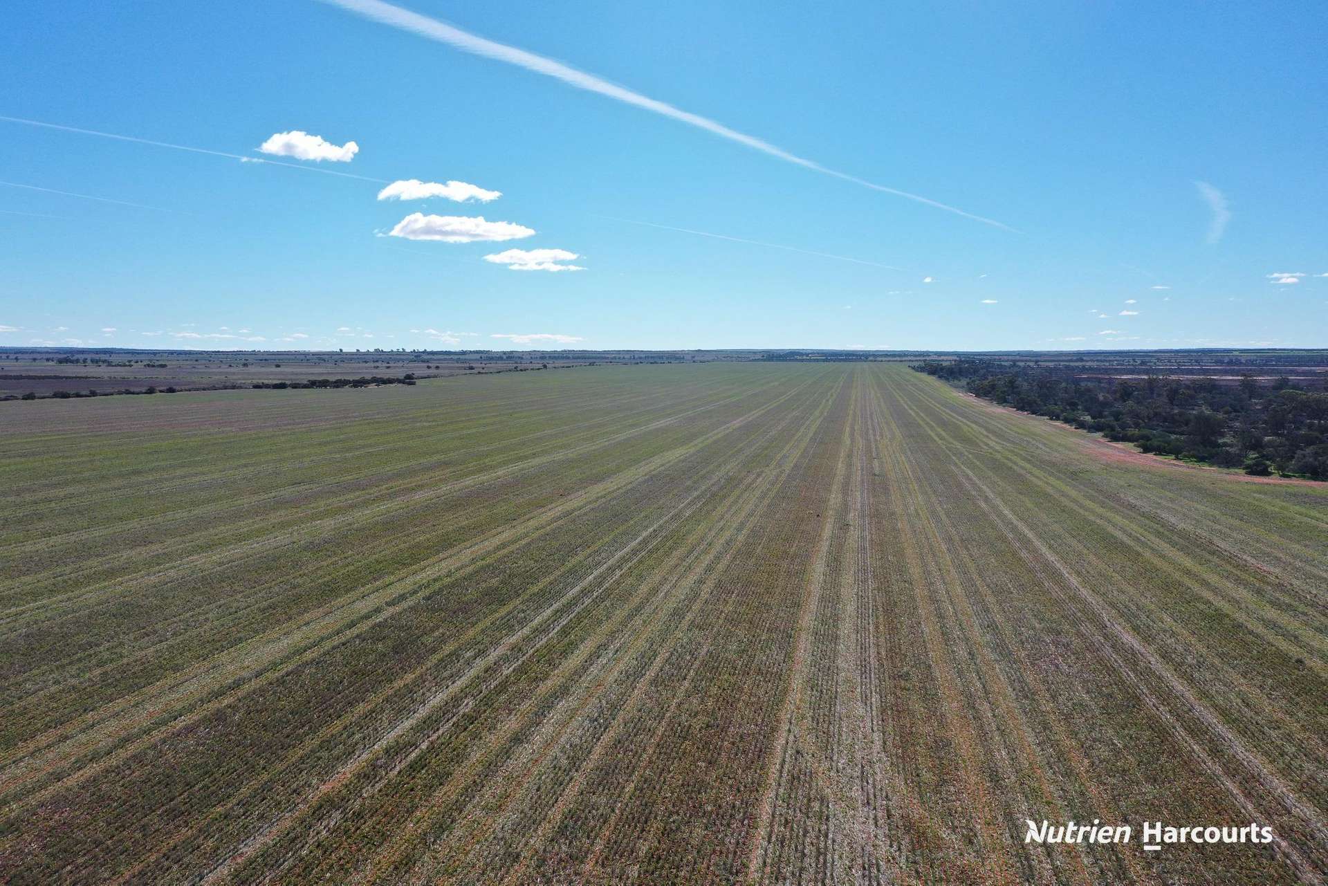 331 Red Dam Road, Cleary For Sale by Farmbuy.com - image 3