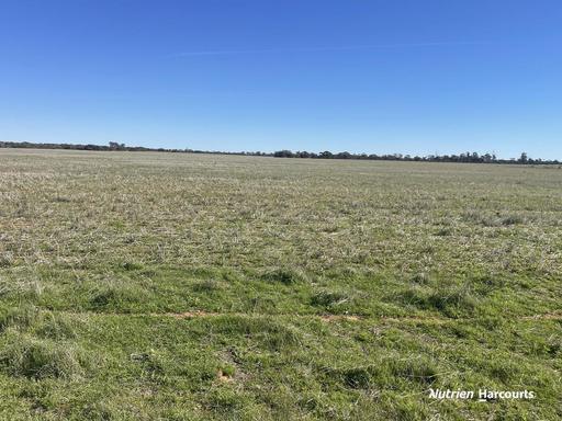 331 Red Dam Road, Cleary WA 6472