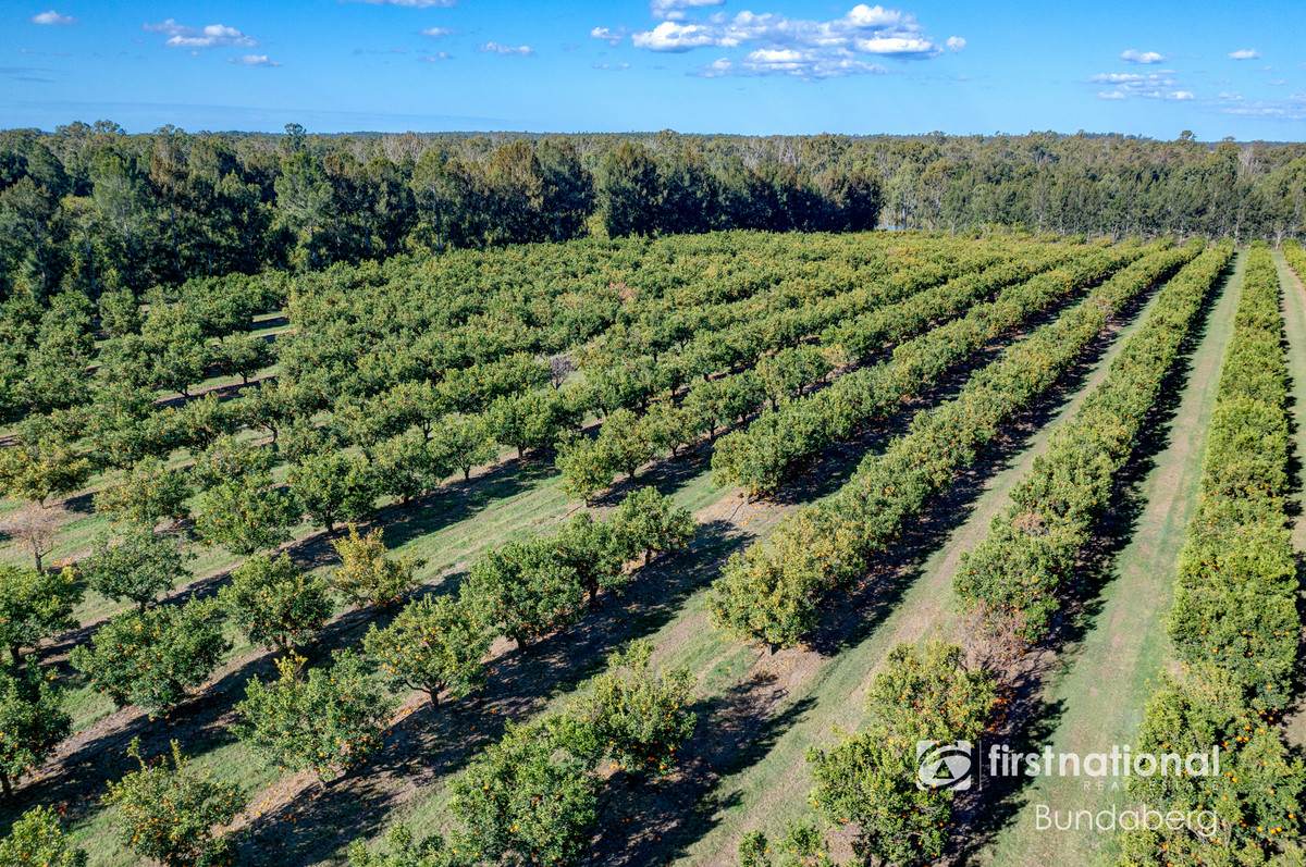 70 Grahams Road, Drinan For Sale by Farmbuy.com - image 12