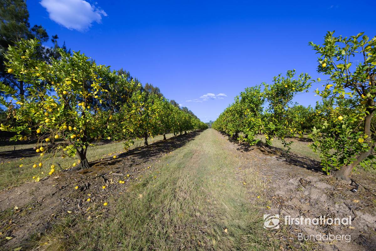 70 Grahams Road, Drinan For Sale by Farmbuy.com - image 13