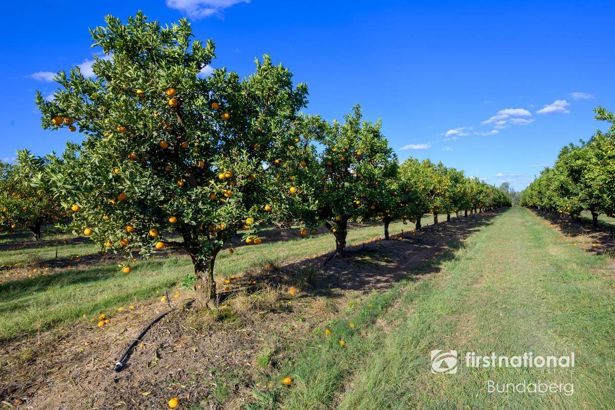 70 Grahams Road, Drinan For Sale by Farmbuy.com - image 15