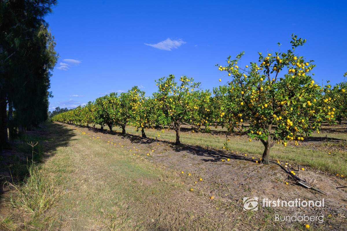 70 Grahams Road, Drinan For Sale by Farmbuy.com - image 16