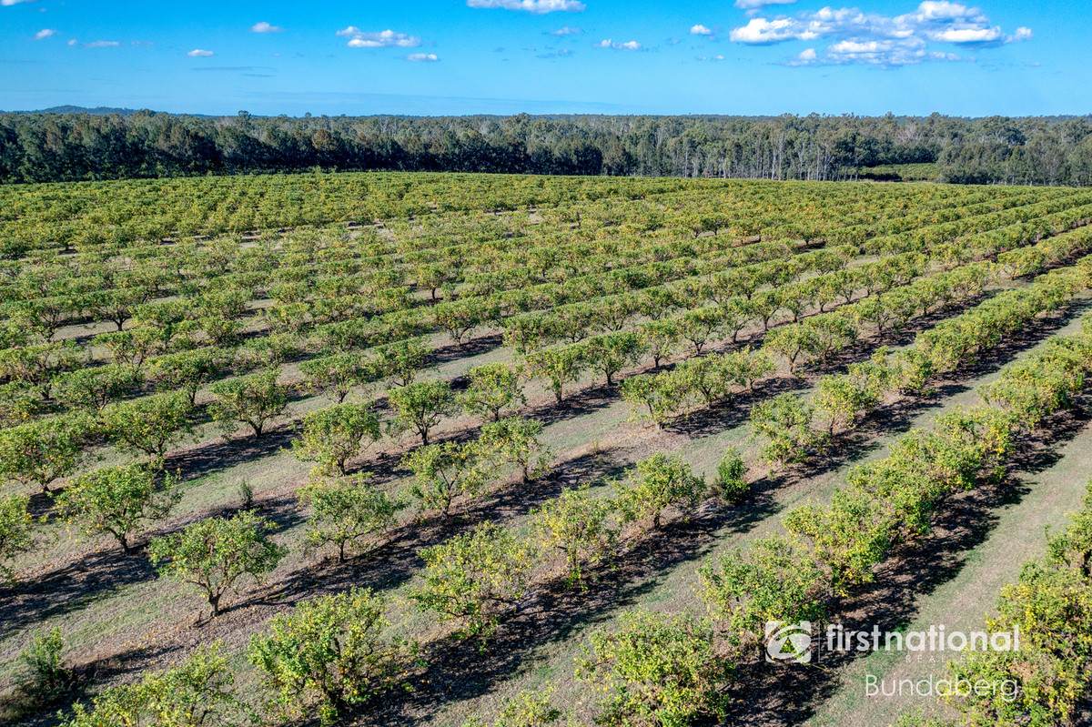 70 Grahams Road, Drinan For Sale by Farmbuy.com - image 9