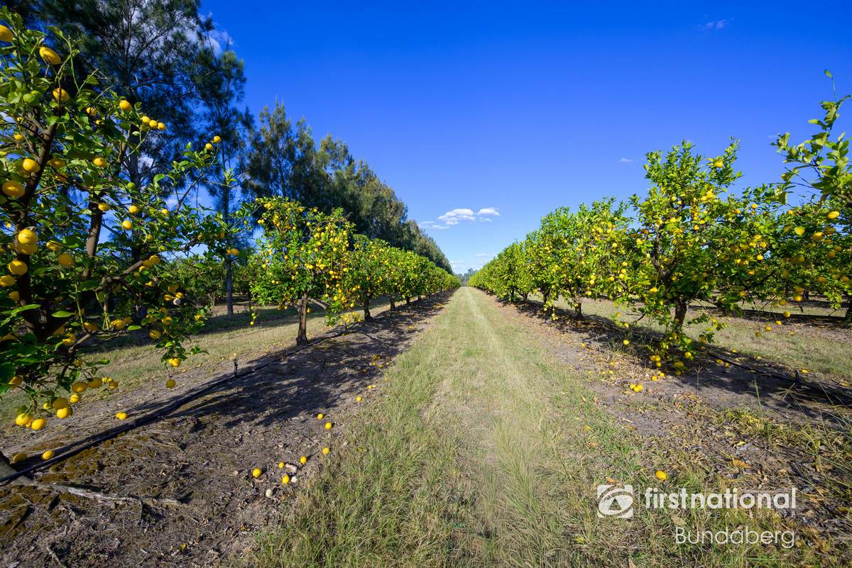 70 Grahams Road, Drinan For Sale by Farmbuy.com - image 14