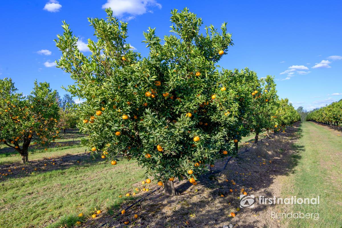 70 Grahams Road, Drinan For Sale by Farmbuy.com - image 5