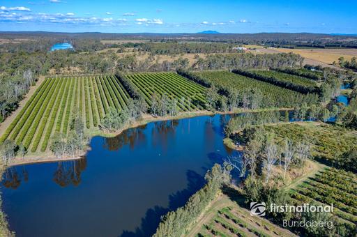 Farm For Sale - QLD - Drinan - 4671 - ESTABLISHED CITRUS FARM WITH WATER, SCALE AND INFRASTRUCTURE 