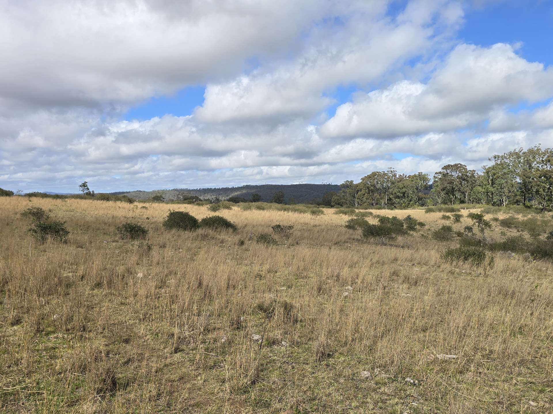 Lot 314 New England Highway, Thornville For Sale by Farmbuy.com - image 13