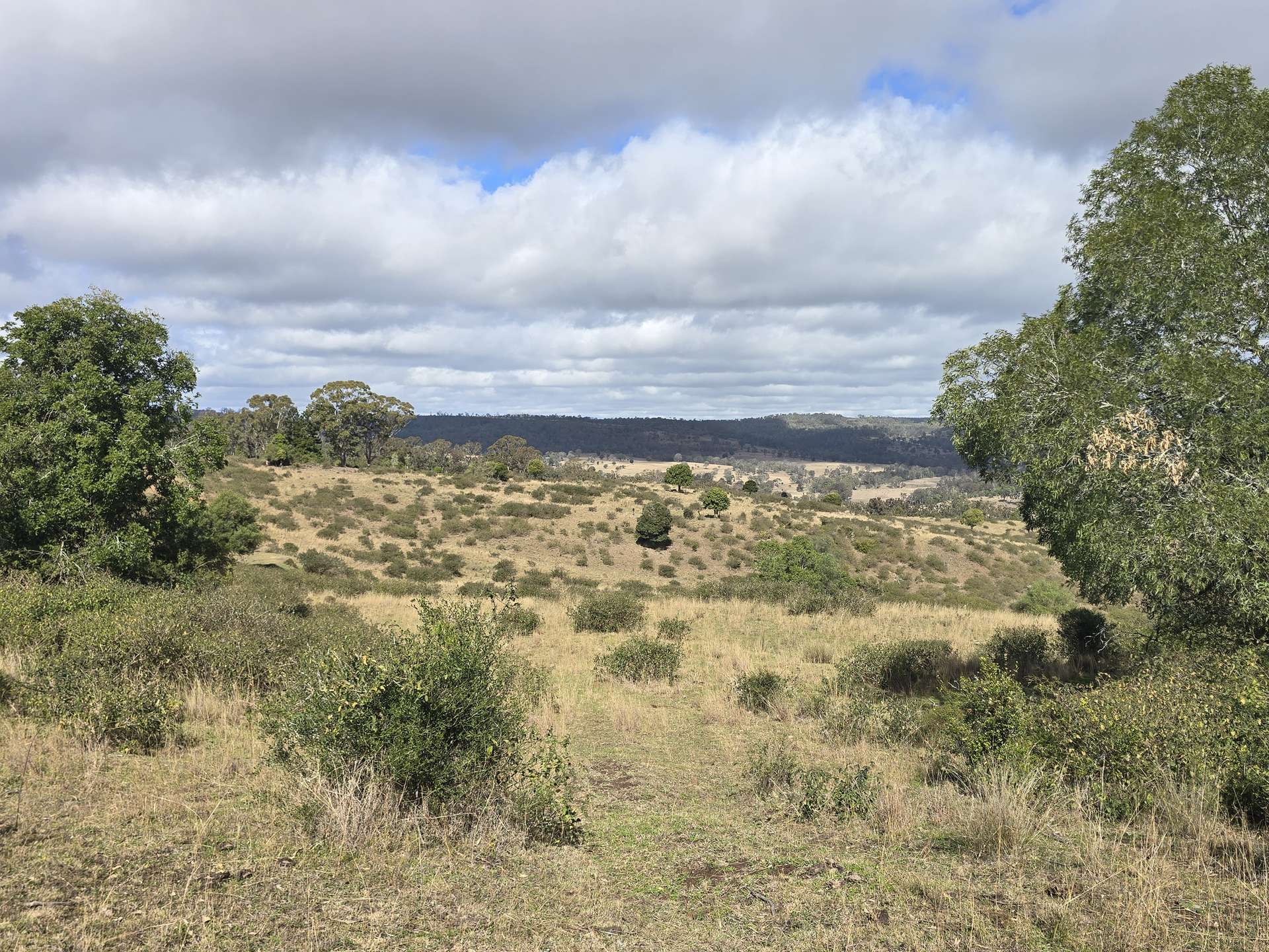 Lot 314 New England Highway, Thornville For Sale by Farmbuy.com - image 1