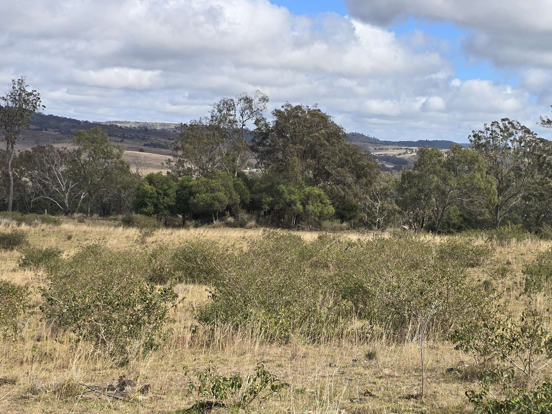 Lot 314 New England Highway, Thornville For Sale by Farmbuy.com - image 6