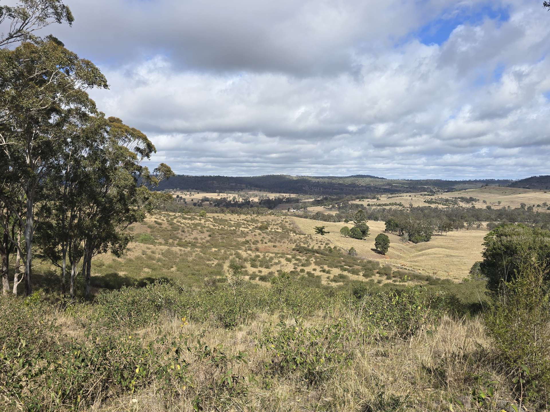 Lot 314 New England Highway, Thornville For Sale by Farmbuy.com - image 10