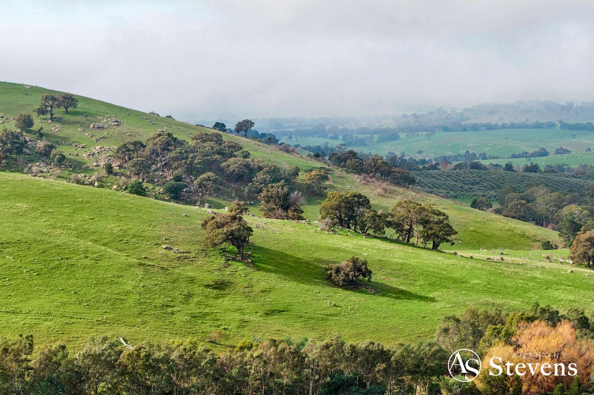 160 Tooborac-Baynton Road, Tooborac For Sale by Farmbuy.com - image 17