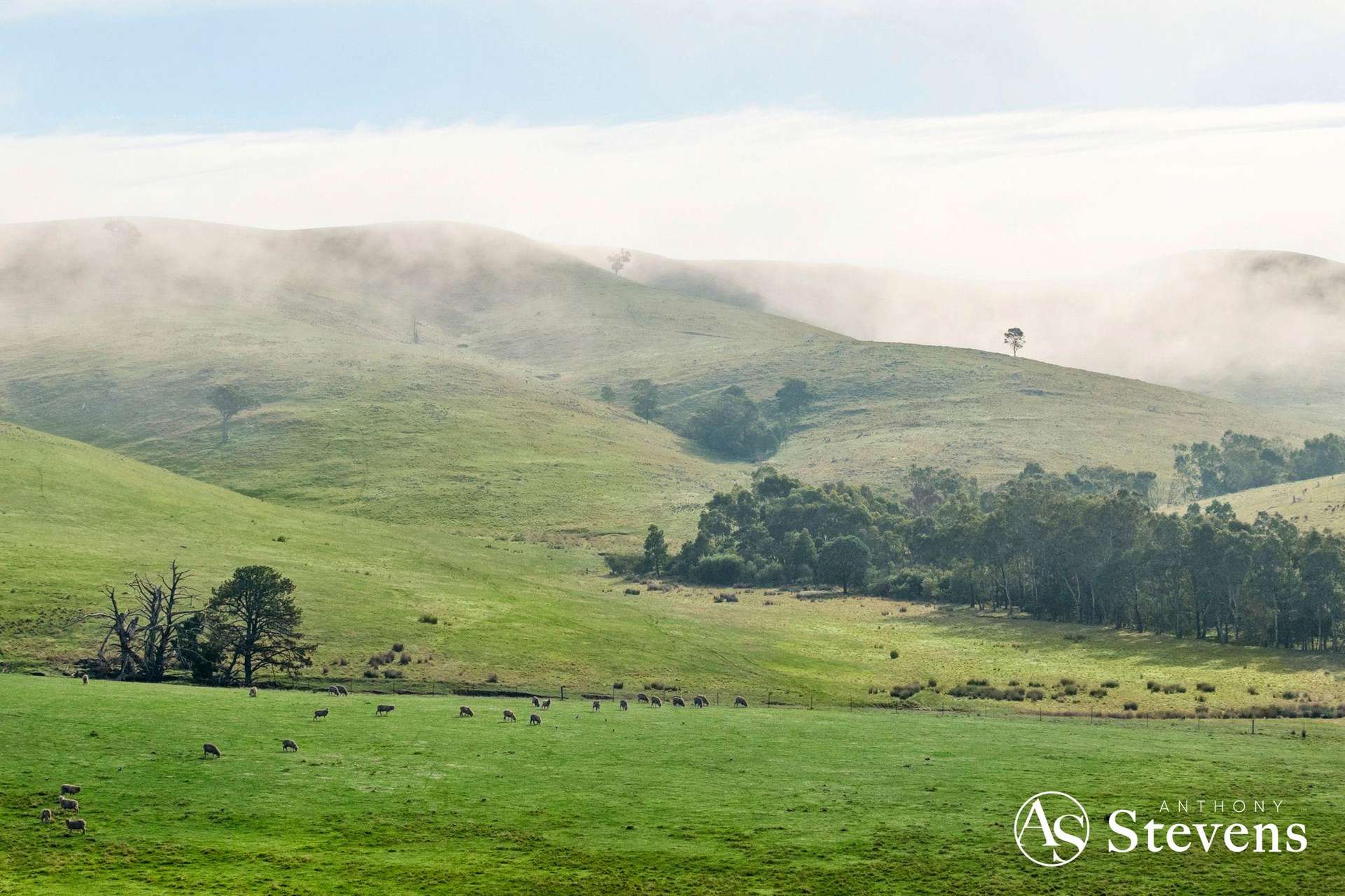 160 Tooborac-Baynton Road, Tooborac For Sale by Farmbuy.com - image 13