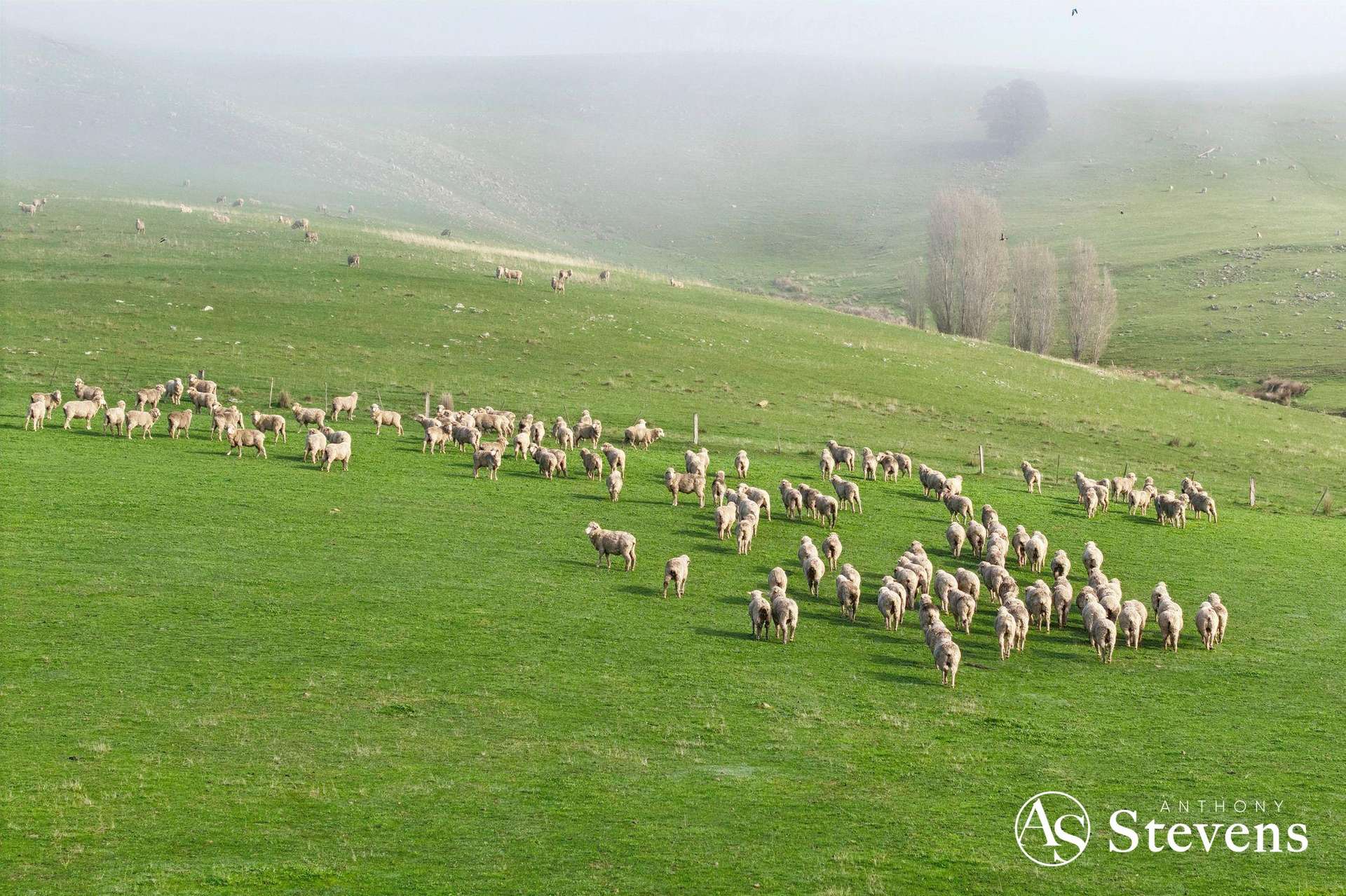 160 Tooborac-Baynton Road, Tooborac For Sale by Farmbuy.com - image 10