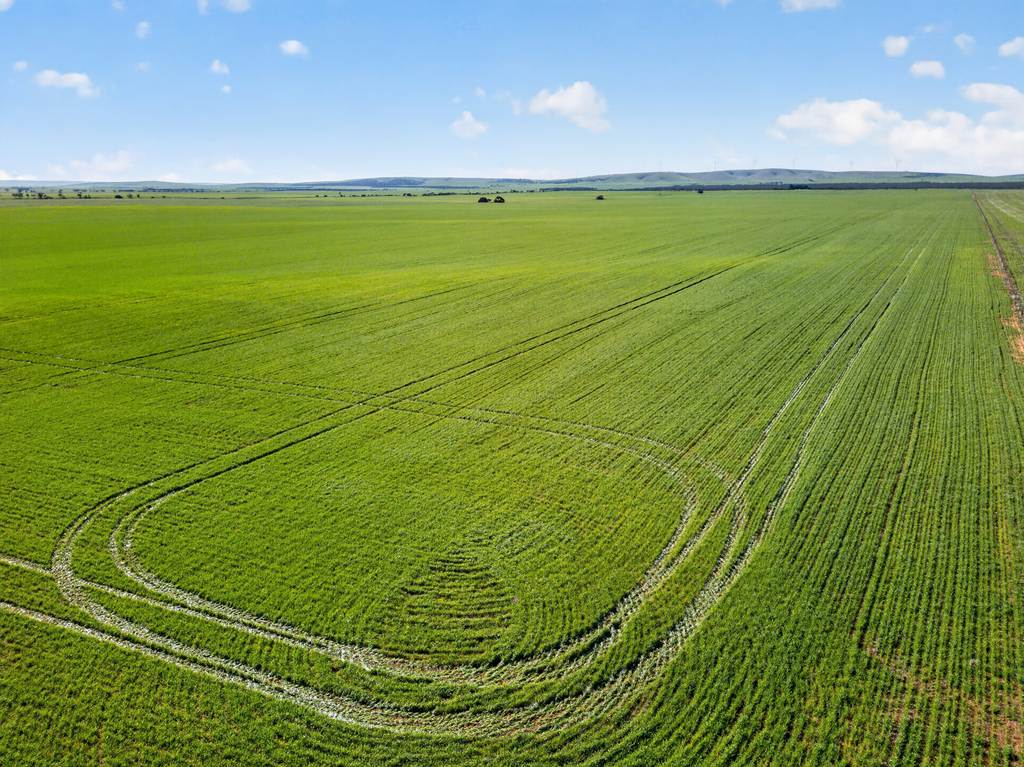 'Clifford Farm' Spencer Highway, Clements Gap SA 5523
