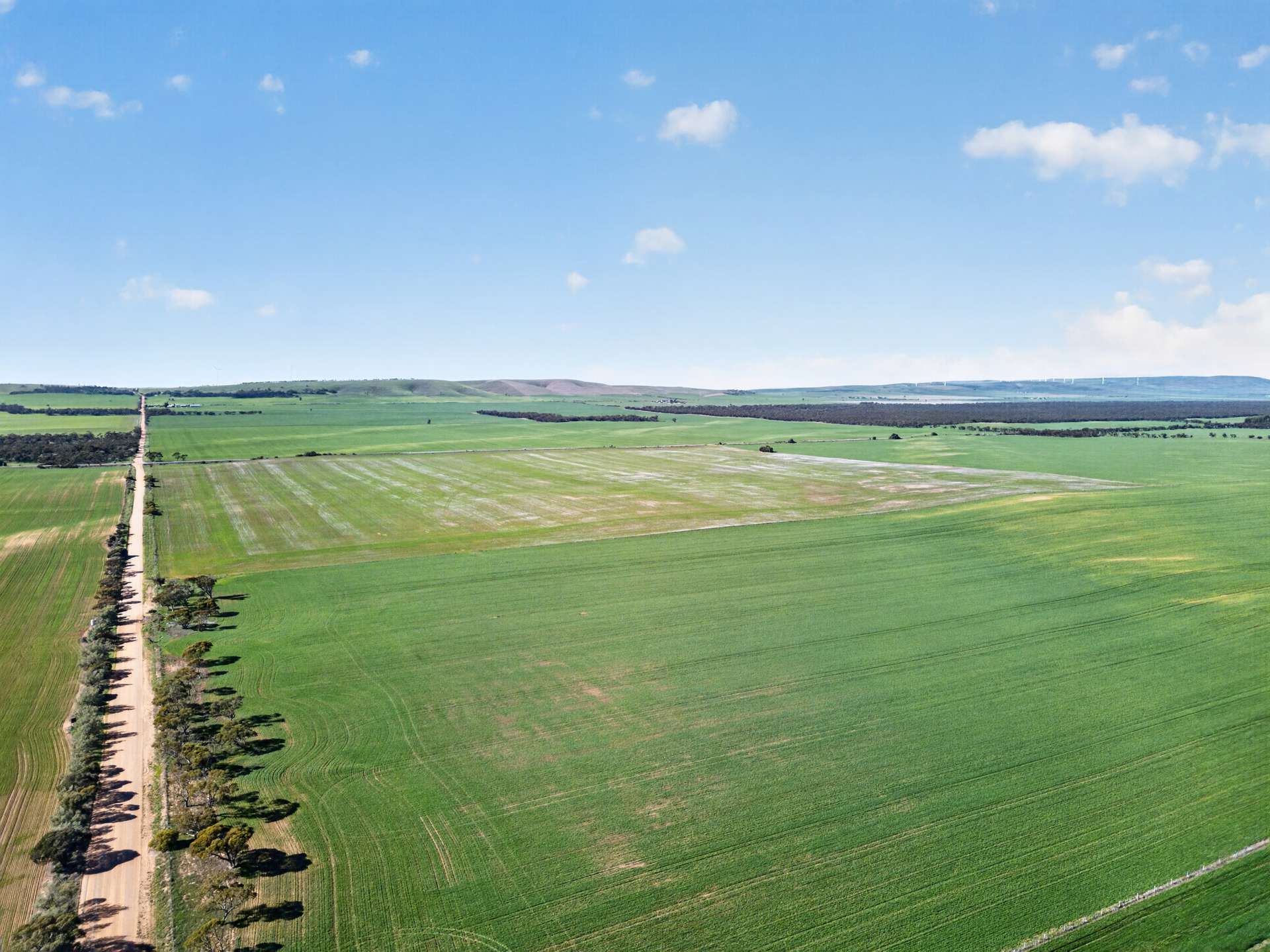'Clifford Farm' Spencer Highway, Clements Gap For Sale by Farmbuy.com - image 16