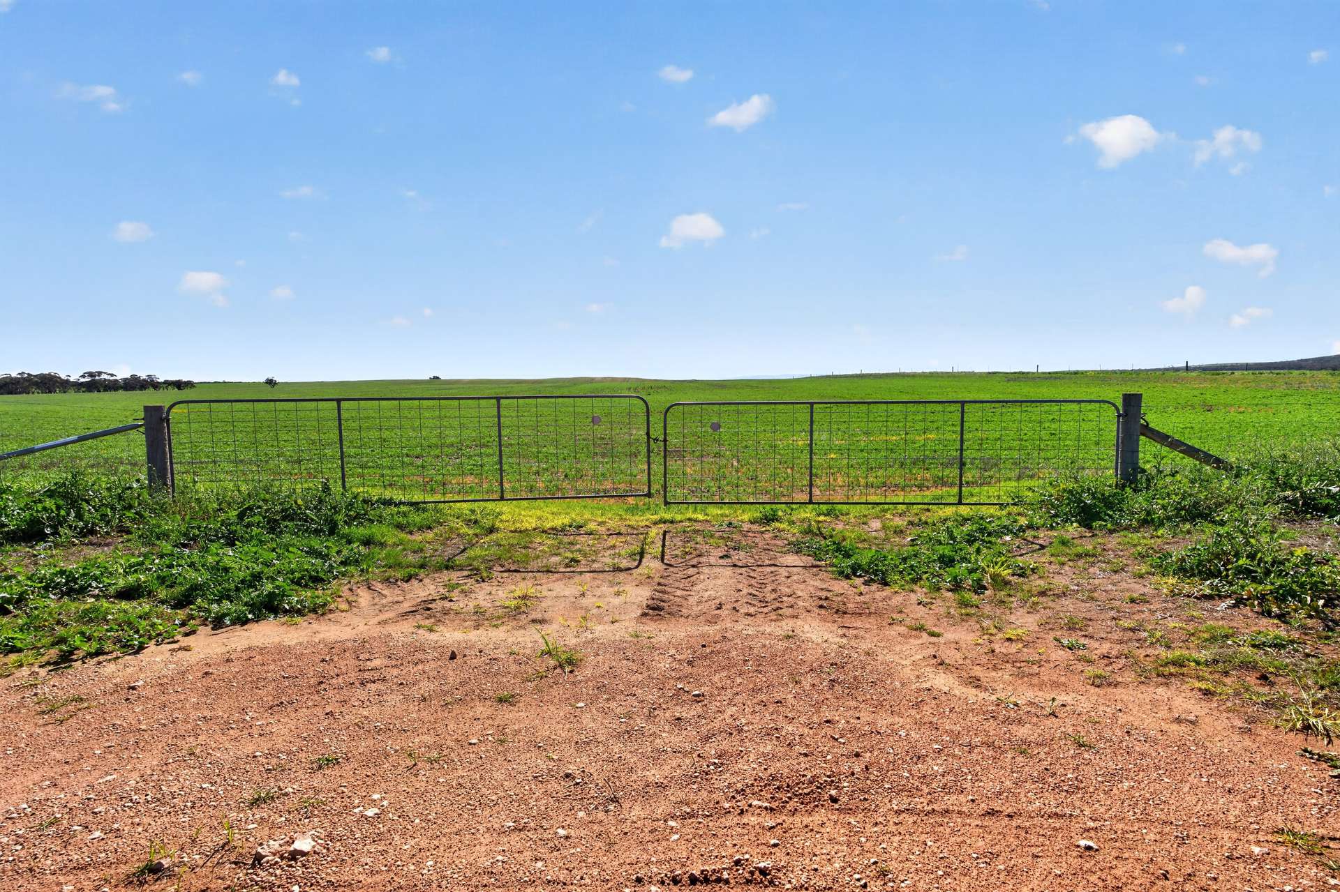 'Clifford Farm' Spencer Highway, Clements Gap For Sale by Farmbuy.com - image 8