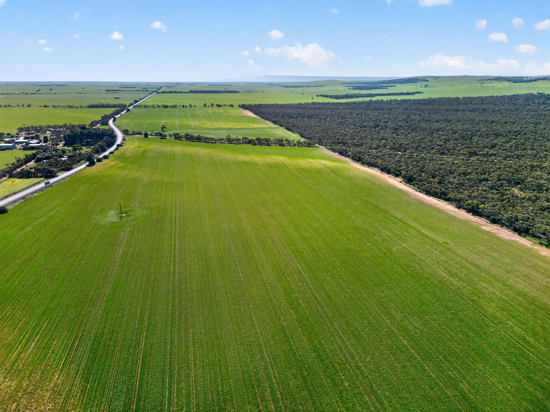'Clifford Farm' Spencer Highway, Clements Gap For Sale by Farmbuy.com - image 6