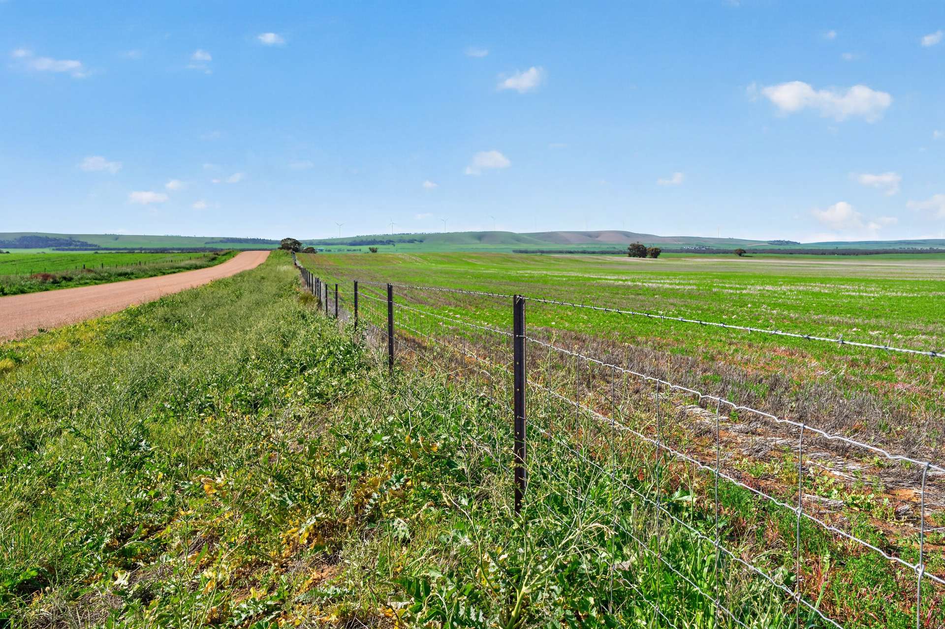 'Clifford Farm' Spencer Highway, Clements Gap For Sale by Farmbuy.com - image 7