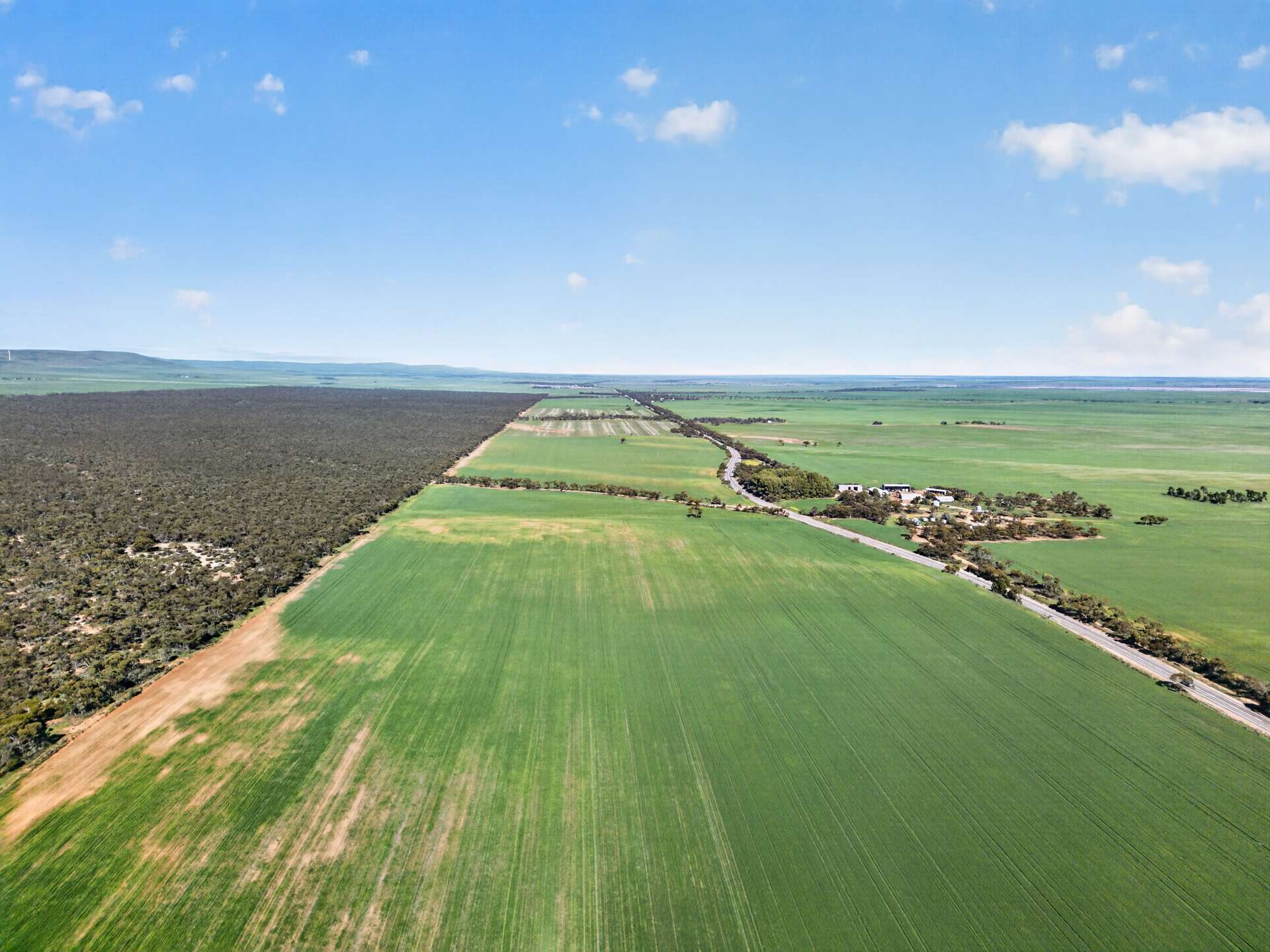 'Clifford Farm' Spencer Highway, Clements Gap For Sale by Farmbuy.com - image 22