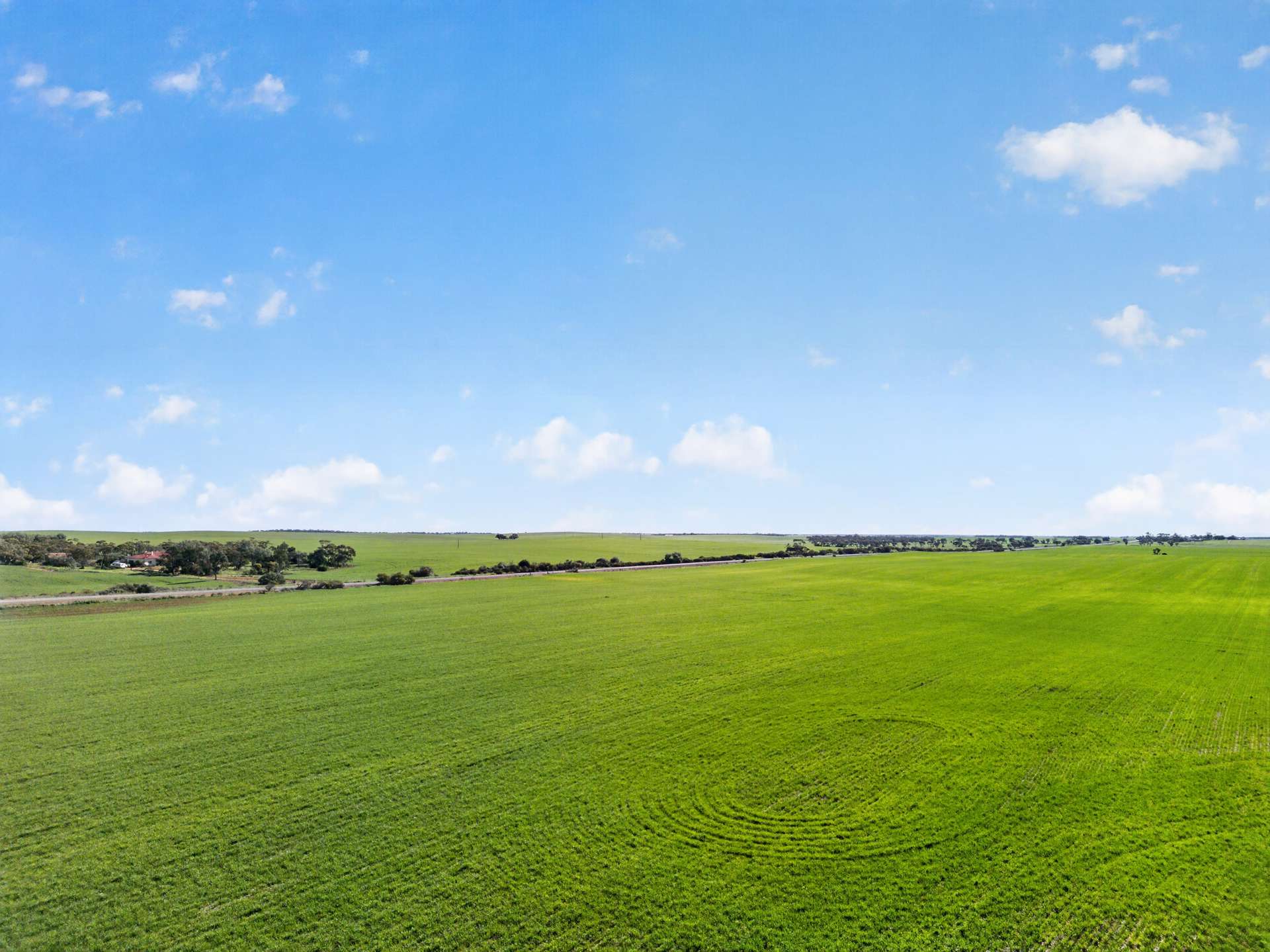 'Clifford Farm' Spencer Highway, Clements Gap For Sale by Farmbuy.com - image 19