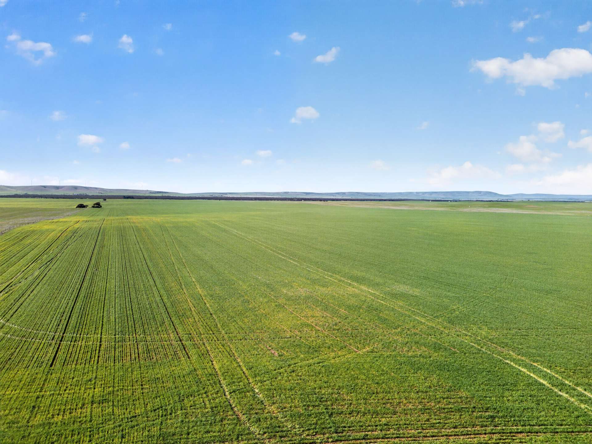'Clifford Farm' Spencer Highway, Clements Gap For Sale by Farmbuy.com - image 5