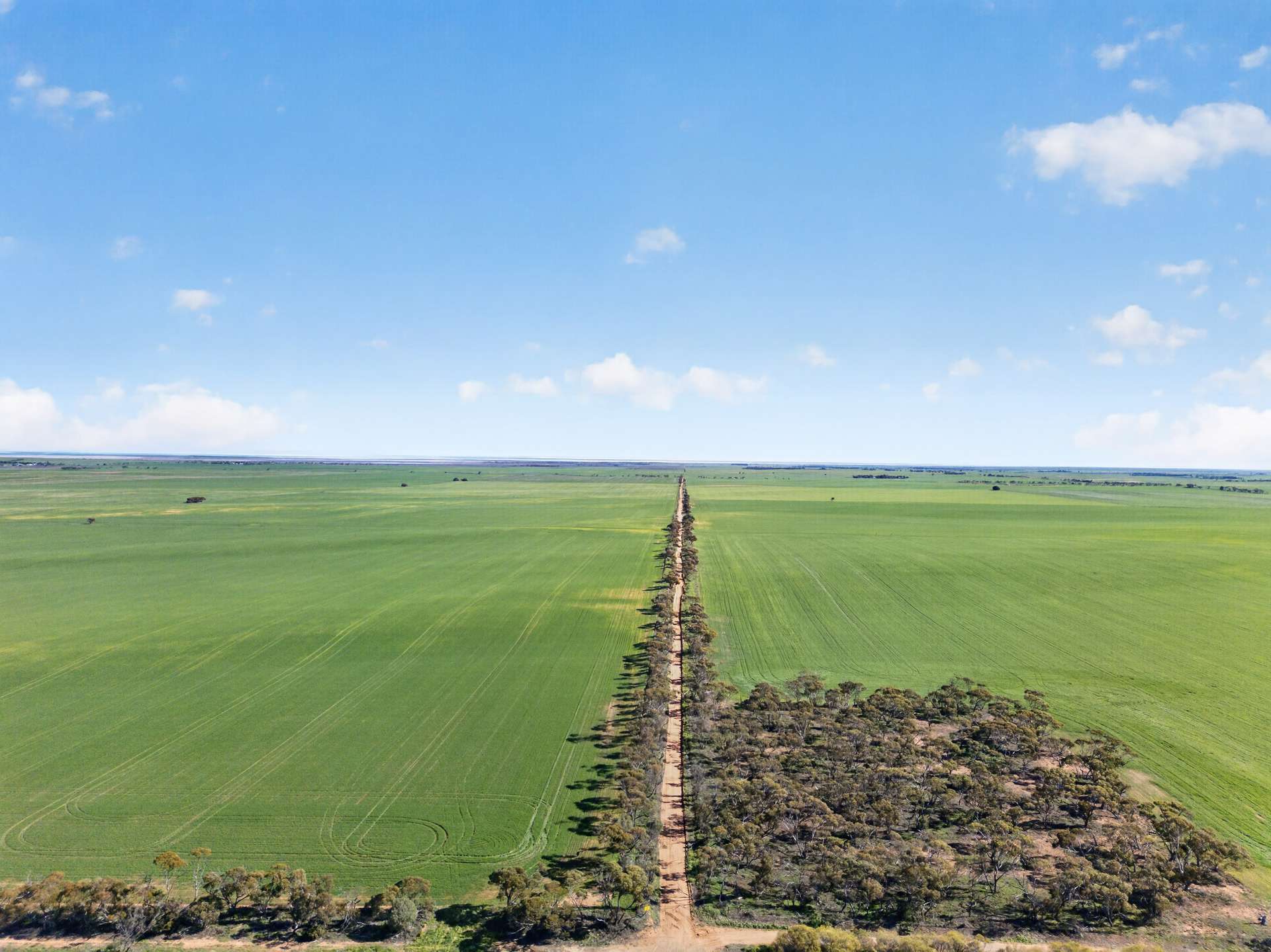 'Clifford Farm' Spencer Highway, Clements Gap For Sale by Farmbuy.com - image 2