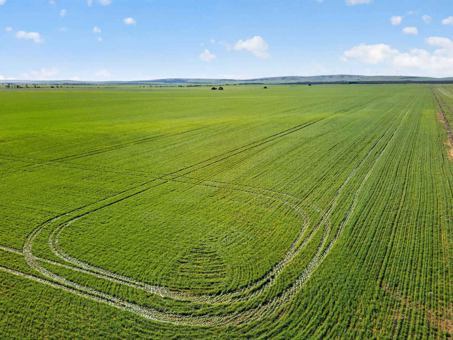 'Clifford Farm' Spencer Highway, Clements Gap For Sale by Farmbuy.com - image 1