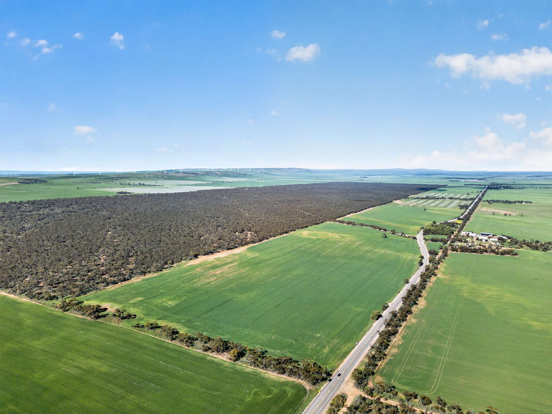 'Clifford Farm' Spencer Highway, Clements Gap For Sale by Farmbuy.com - image 20