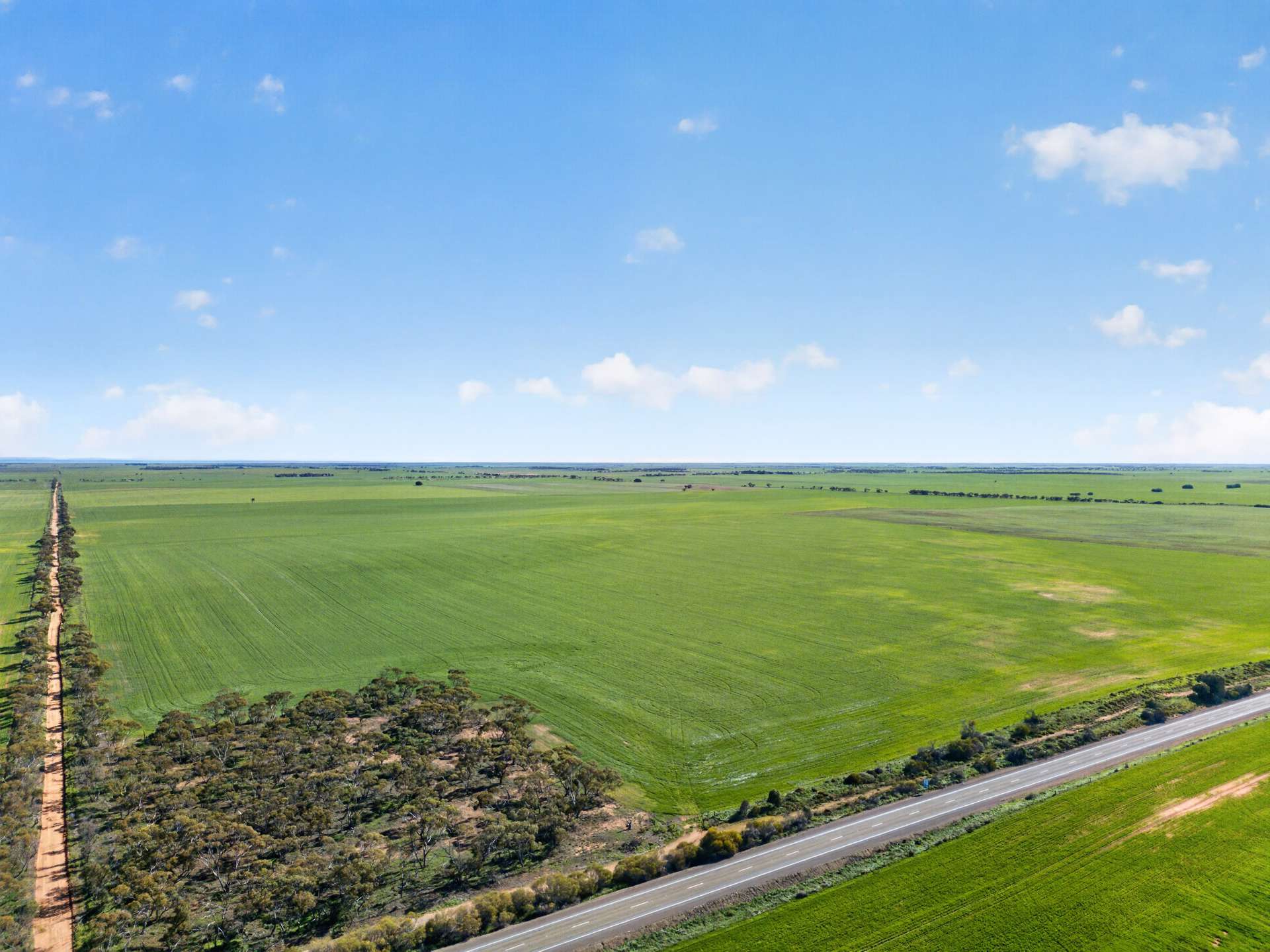 'Clifford Farm' Spencer Highway, Clements Gap For Sale by Farmbuy.com - image 15