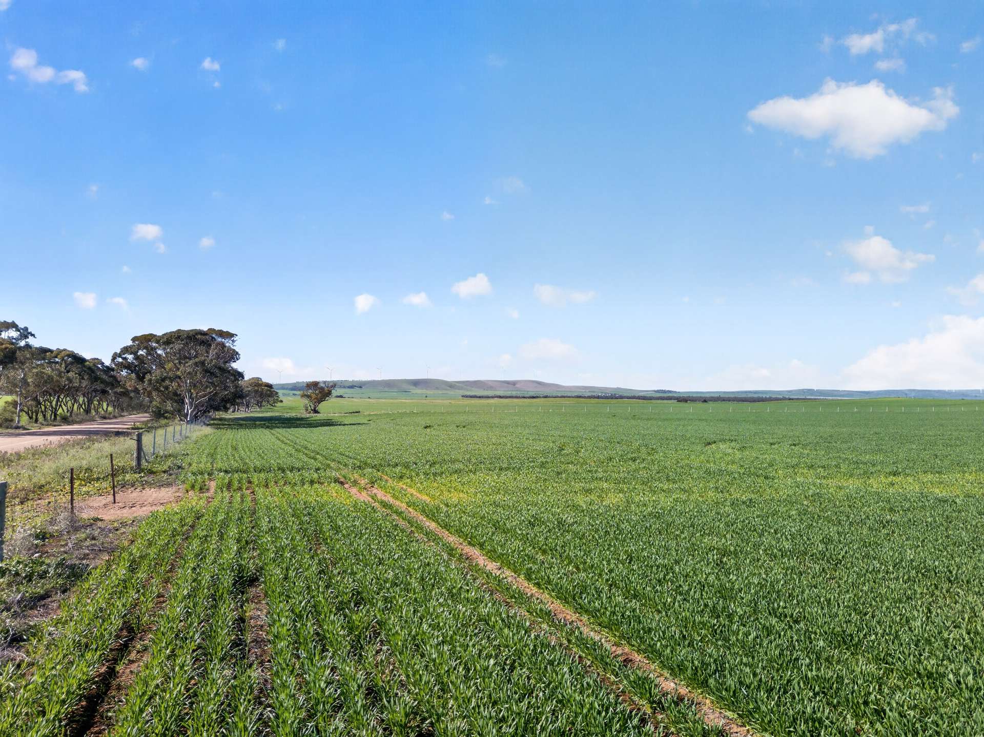 'Clifford Farm' Spencer Highway, Clements Gap For Sale by Farmbuy.com - image 18