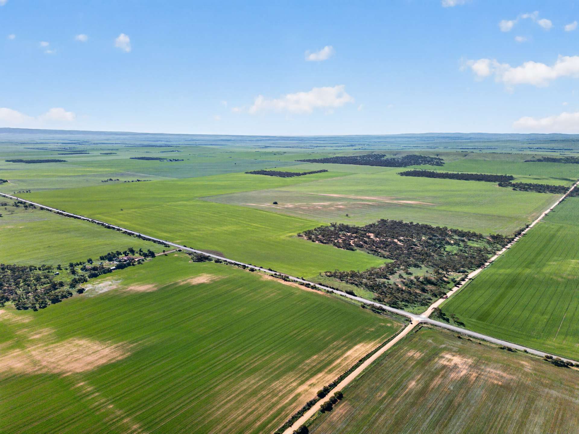 'Clifford Farm' Spencer Highway, Clements Gap For Sale by Farmbuy.com - image 13