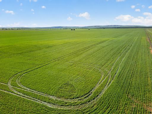 Farm For Sale - SA - Clements Gap - 5523 - Rare Large-Scale Lease & Purchase Opportunity in Tightly Held Cropping District 