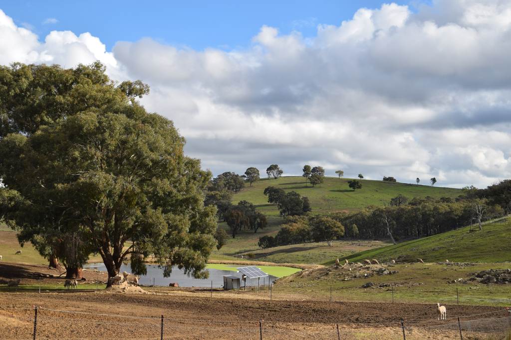 'Morella' 1257 Bundalah Road, Euchareena NSW 2866