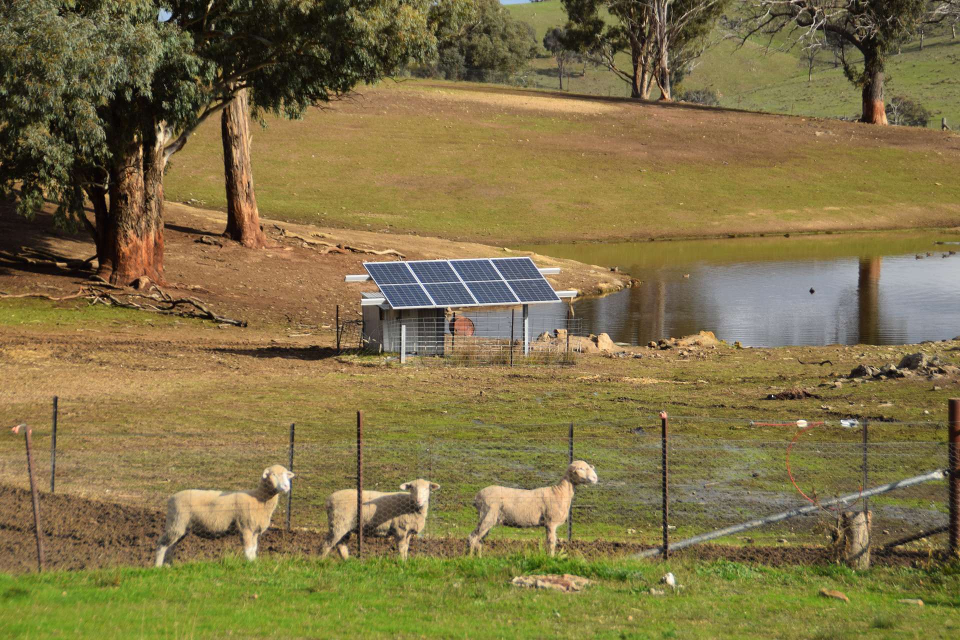 'Morella' 1257 Bundalah Road, Euchareena For Sale by Farmbuy.com - image 5