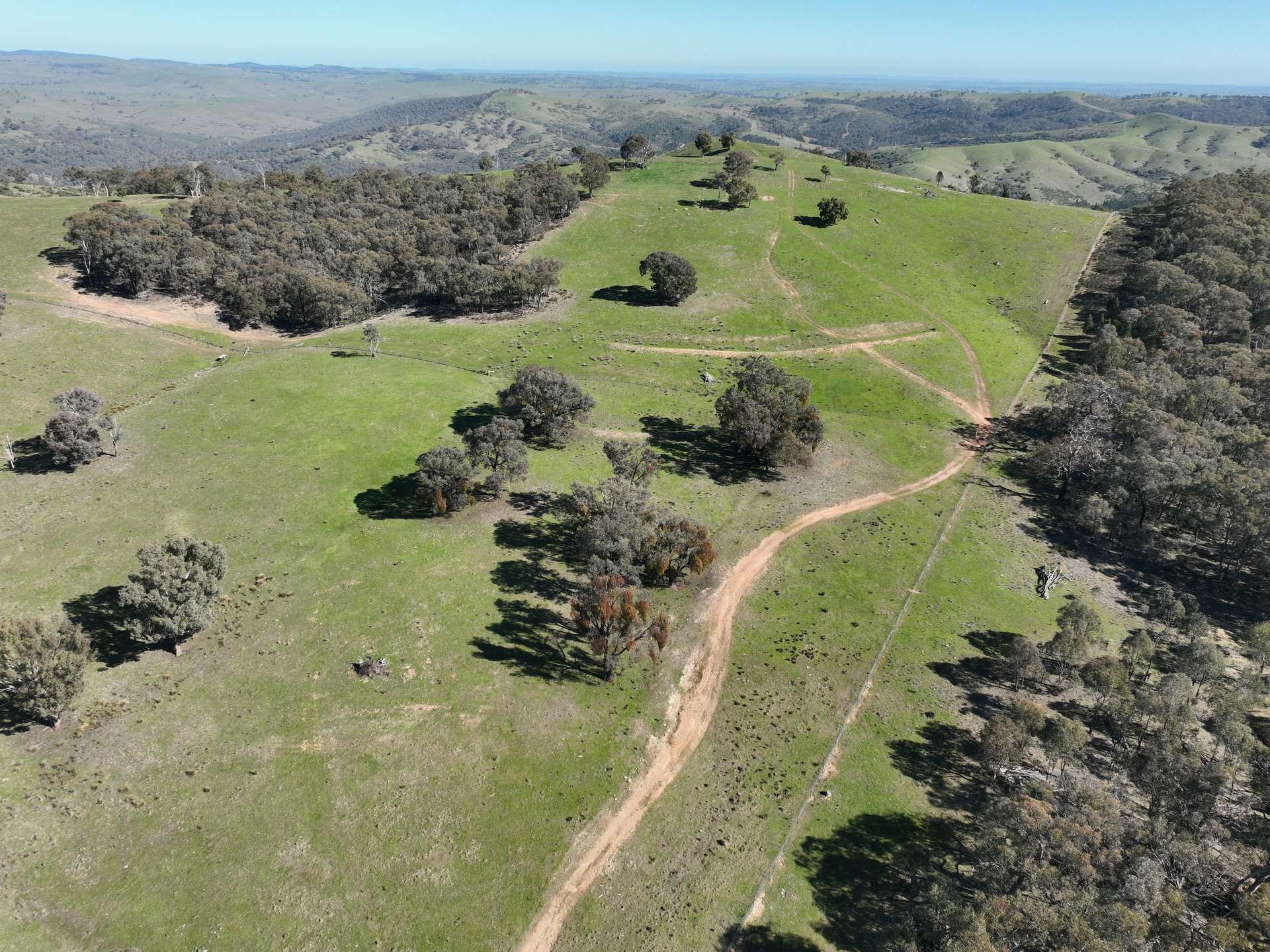 'Morella' 1257 Bundalah Road, Euchareena For Sale by Farmbuy.com - image 23