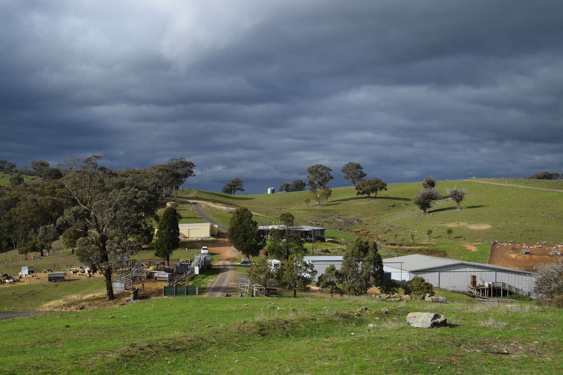'Morella' 1257 Bundalah Road, Euchareena For Sale by Farmbuy.com - image 6