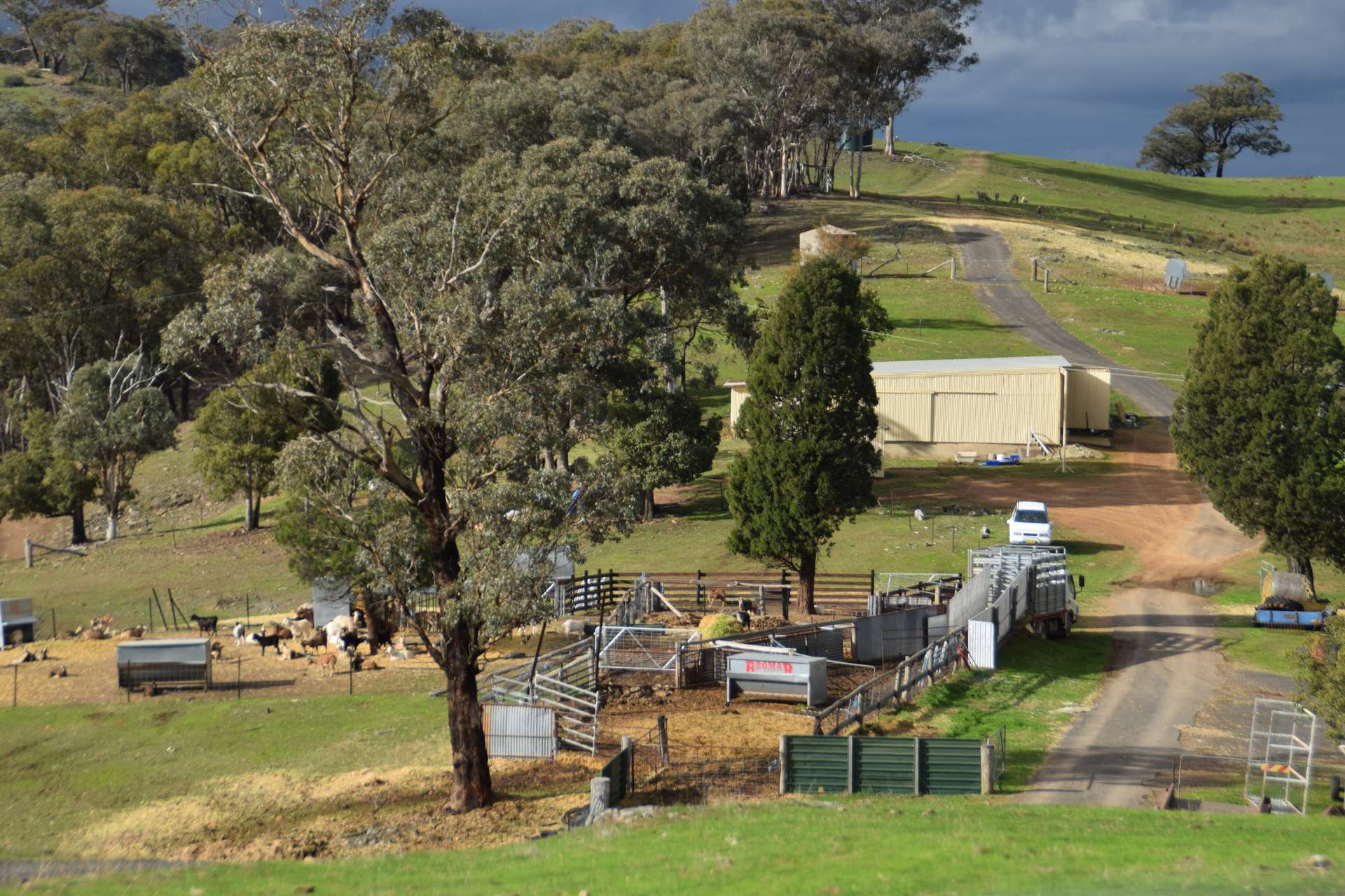 'Morella' 1257 Bundalah Road, Euchareena For Sale by Farmbuy.com - image 7