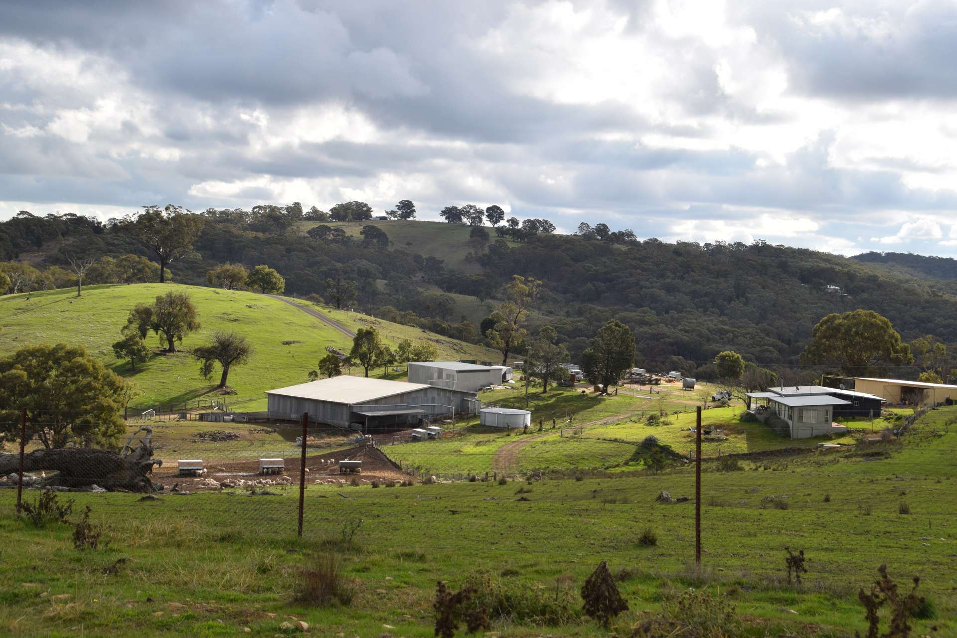 'Morella' 1257 Bundalah Road, Euchareena For Sale by Farmbuy.com - image 2
