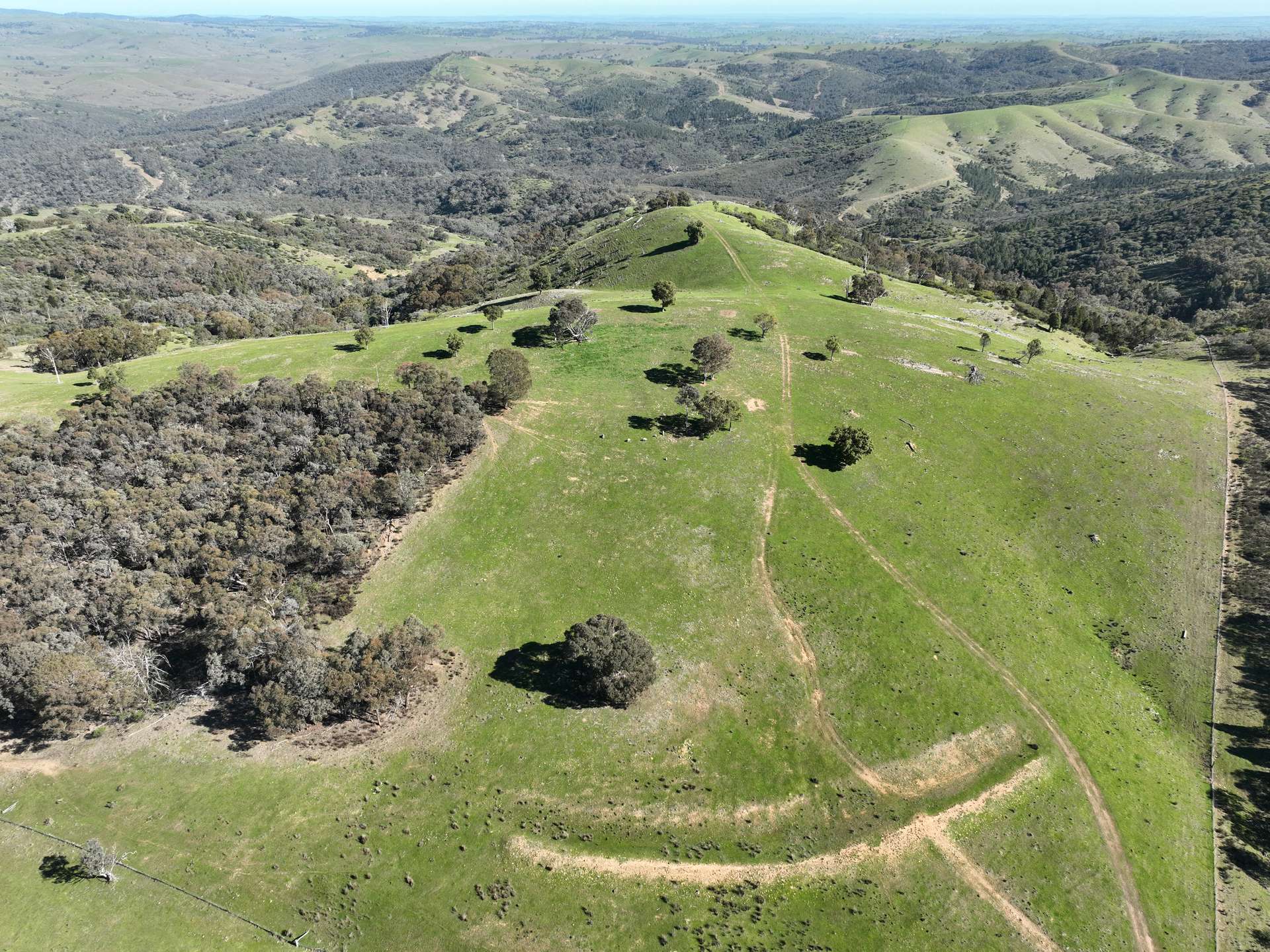 'Morella' 1257 Bundalah Road, Euchareena For Sale by Farmbuy.com - image 25