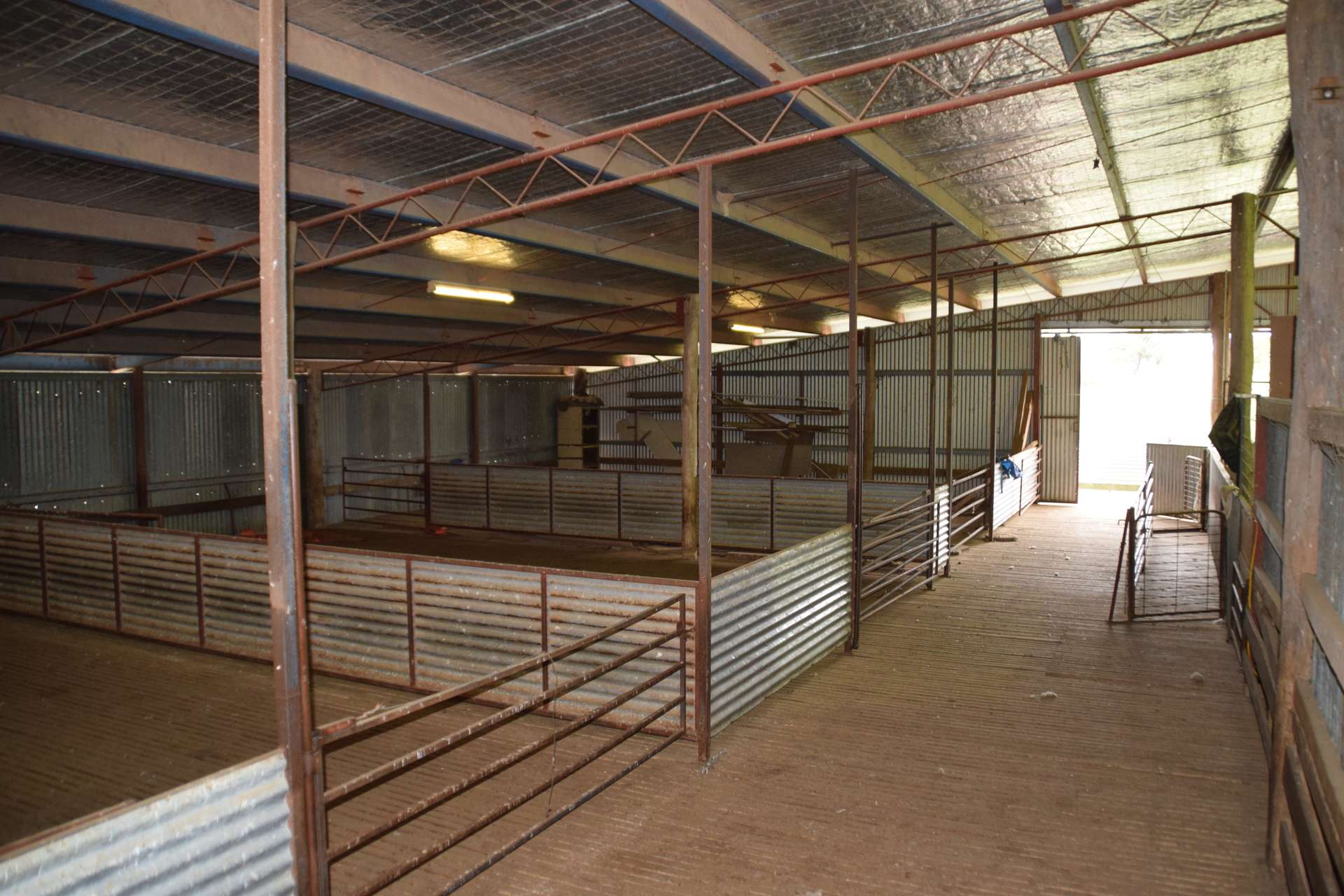 'Morella' 1257 Bundalah Road, Euchareena For Sale by Farmbuy.com - image 18
