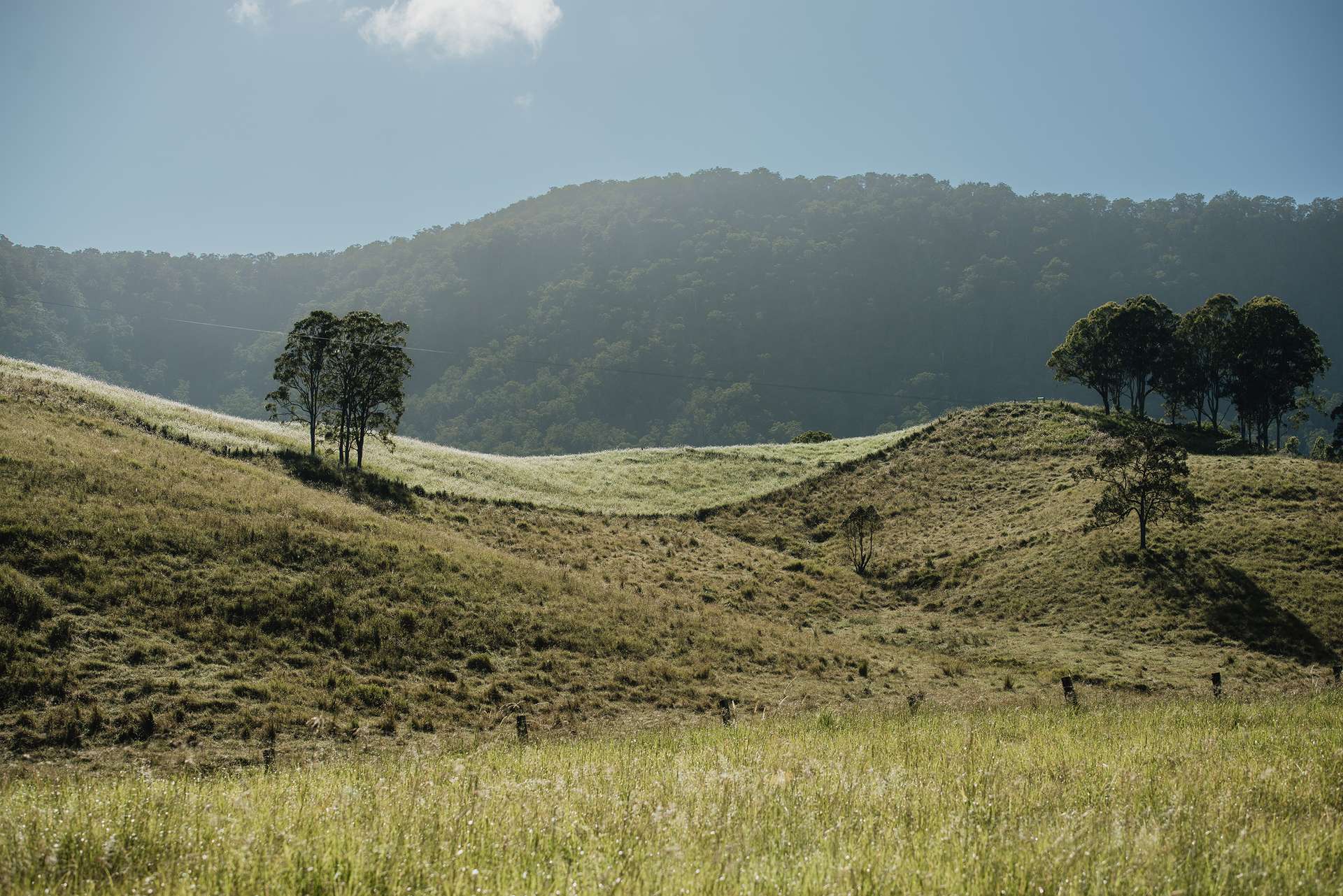 Wiangaree For Sale by Farmbuy.com - image 15