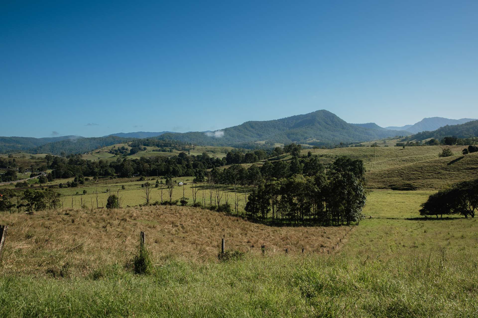 Wiangaree For Sale by Farmbuy.com - image 8