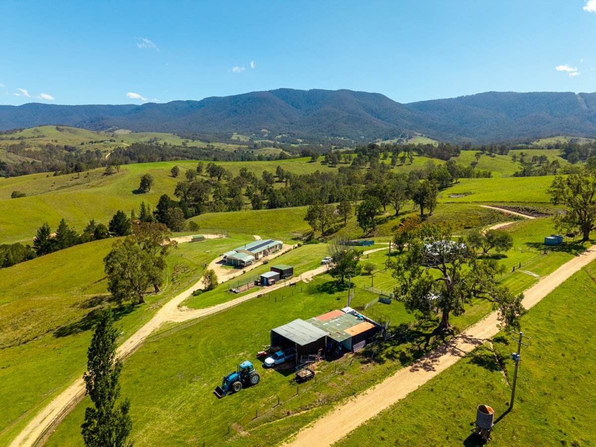 247 Brown Pearsons Road, Bemboka For Sale by Farmbuy.com - image 21