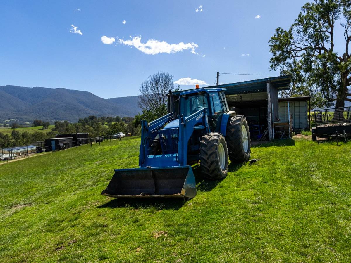 247 Brown Pearsons Road, Bemboka For Sale by Farmbuy.com - image 22