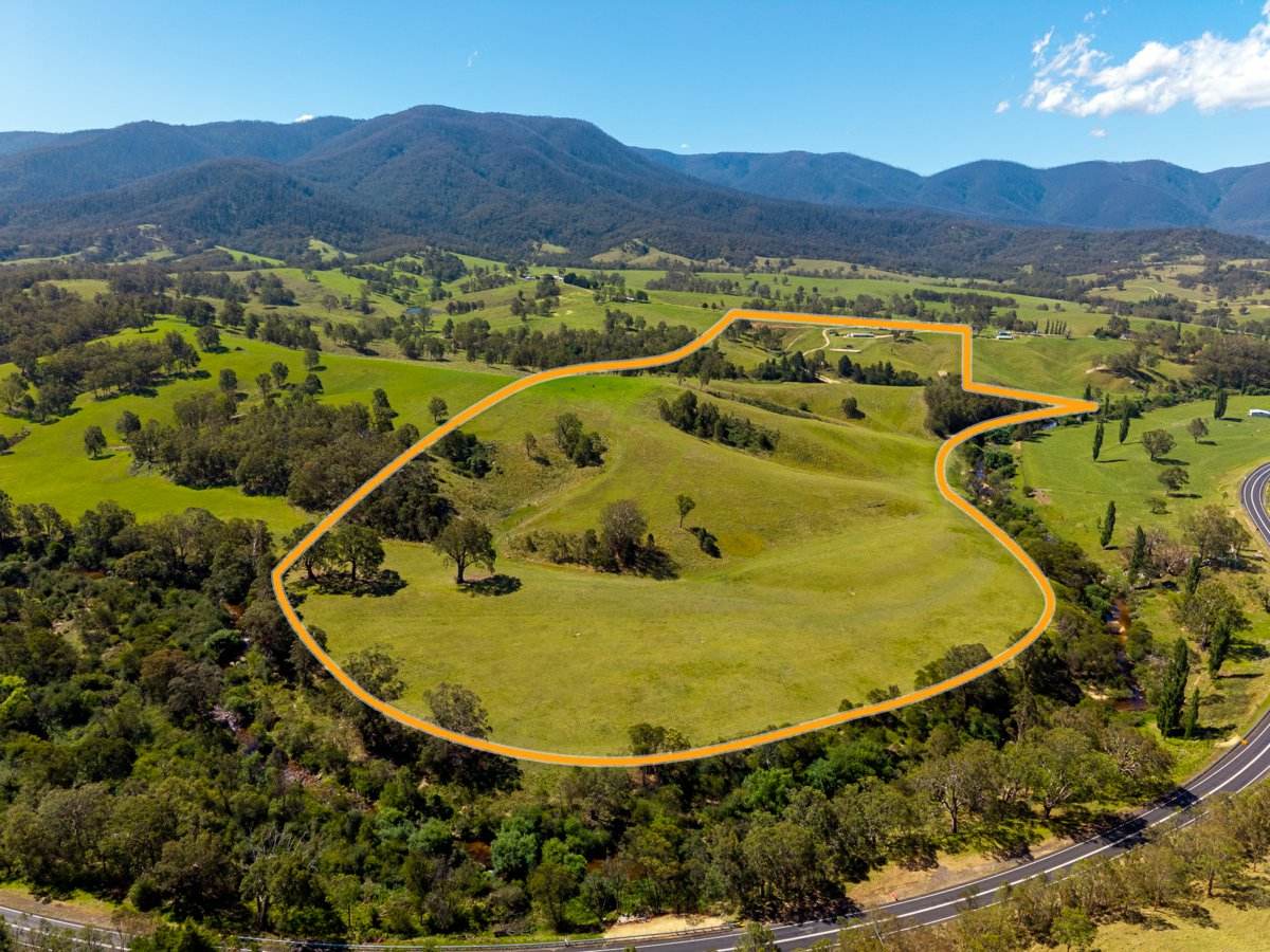 247 Brown Pearsons Road, Bemboka For Sale by Farmbuy.com - image 2