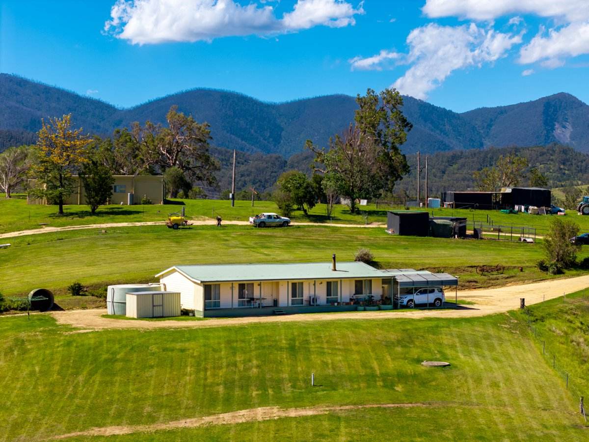 247 Brown Pearsons Road, Bemboka For Sale by Farmbuy.com - image 4