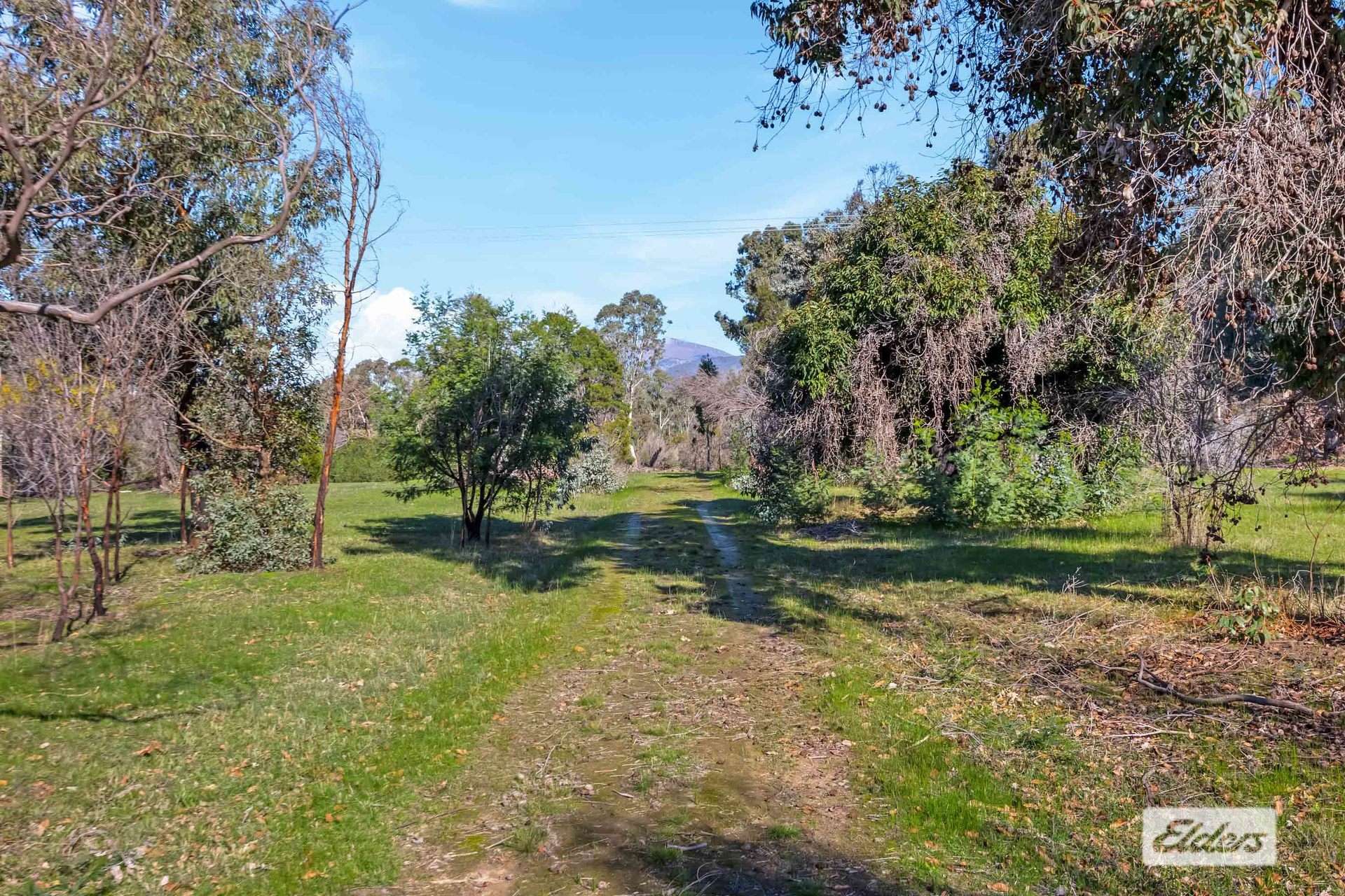 43 Springwood Hill Road, Pomonal For Sale by Farmbuy.com - image 9