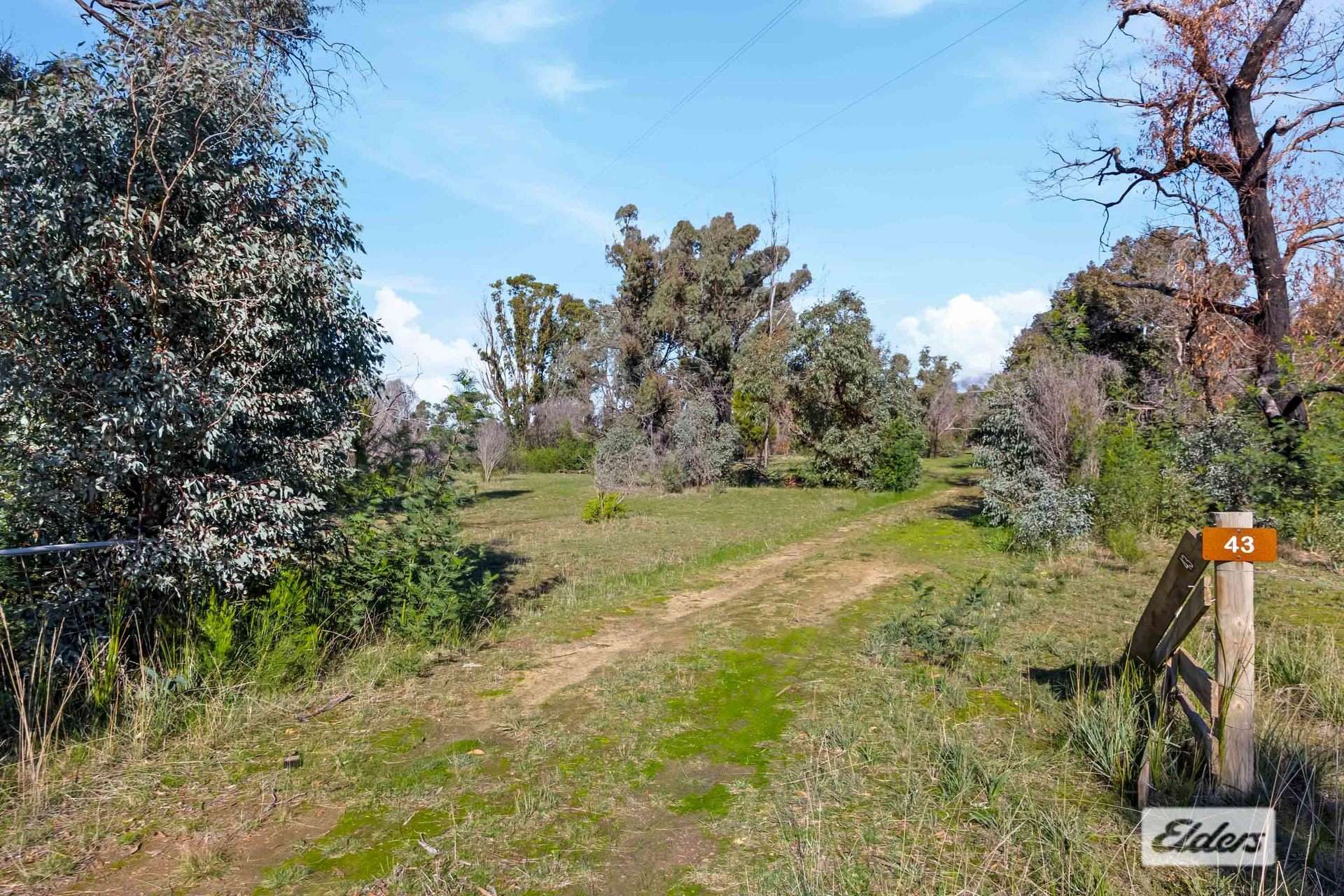43 Springwood Hill Road, Pomonal For Sale by Farmbuy.com - image 5
