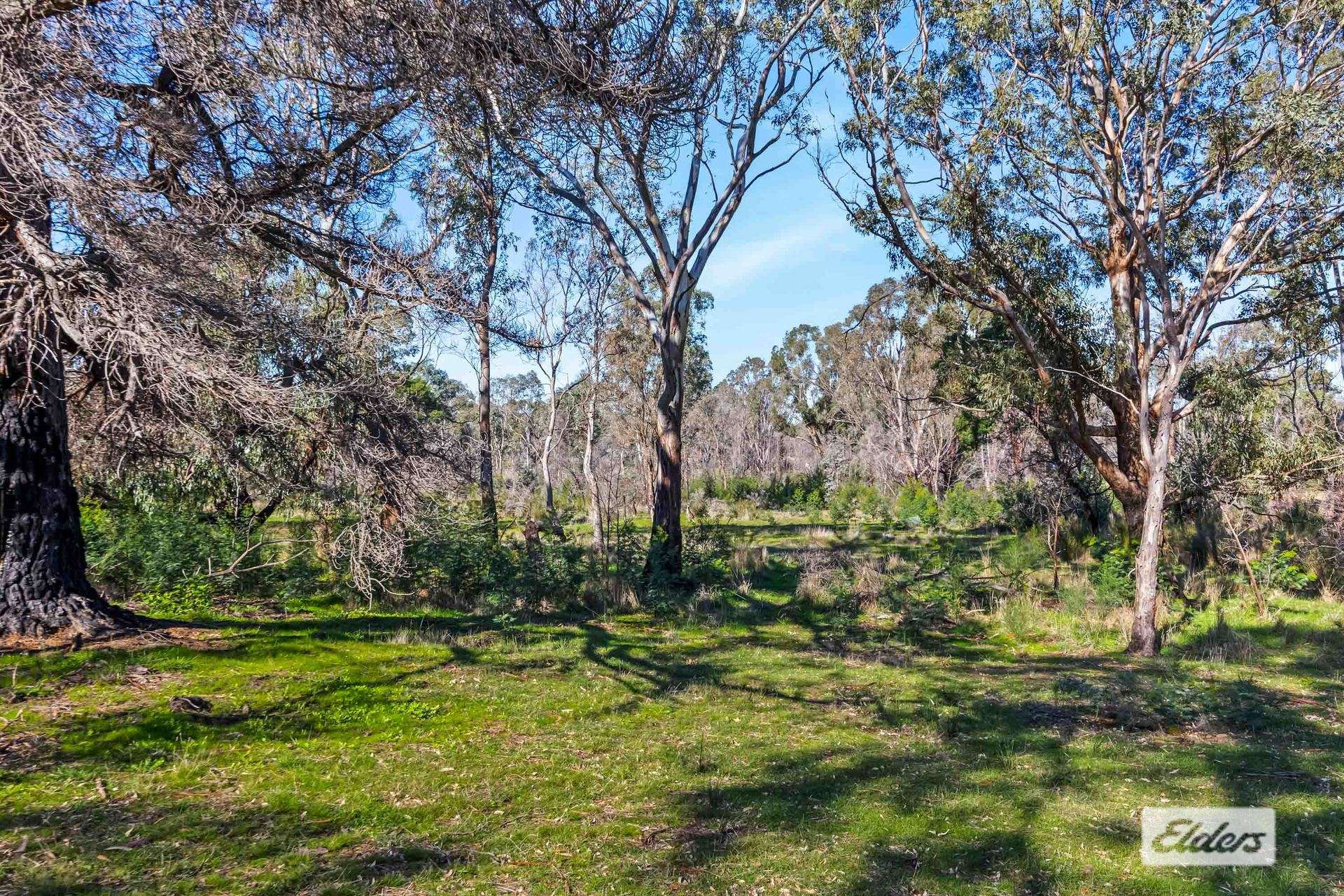 43 Springwood Hill Road, Pomonal For Sale by Farmbuy.com - image 2